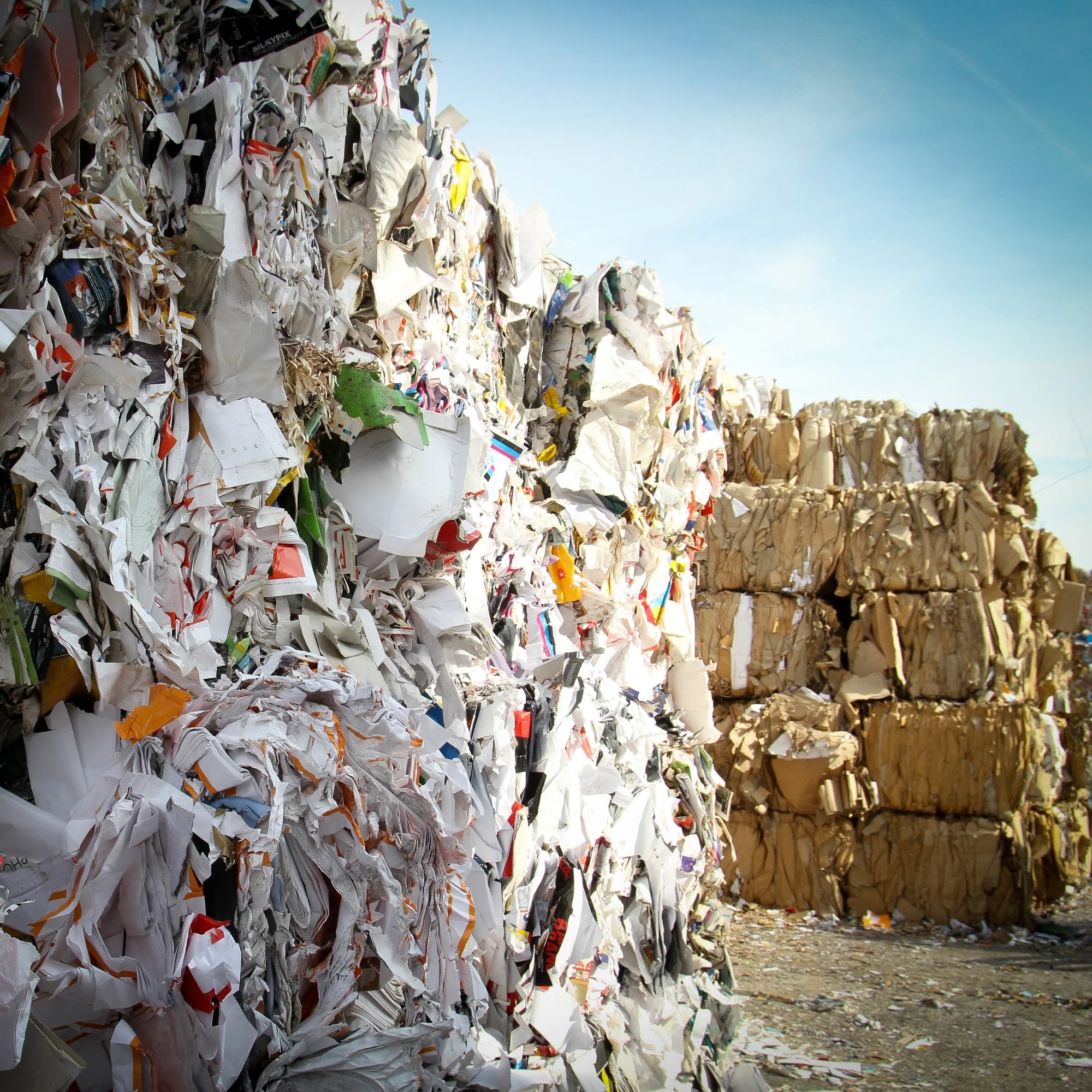 Environnement